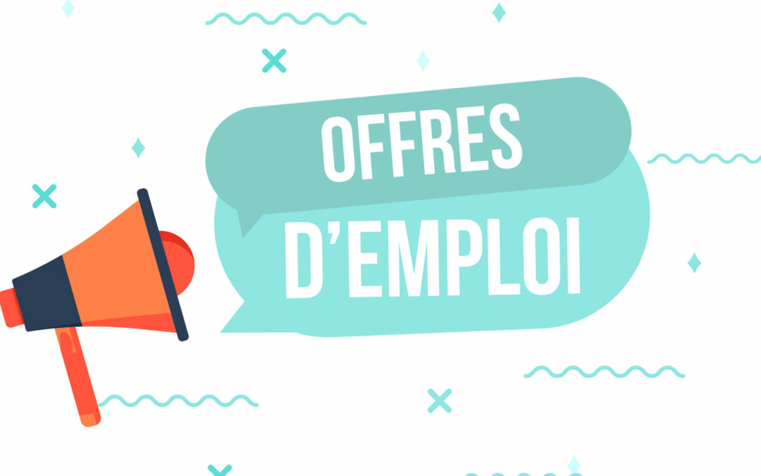 La MDEJ recrute un DIRECTEUR/ une DIRECTRICE